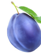 prugna.jpg