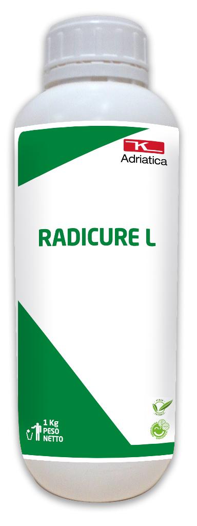 RADICL-ST